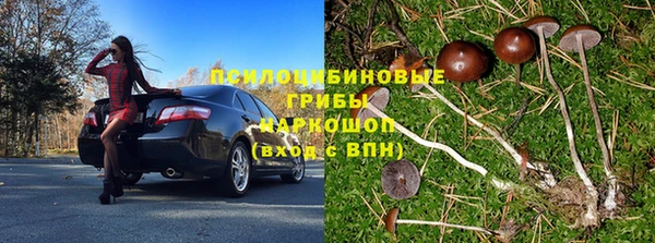 прущая мука Белокуриха