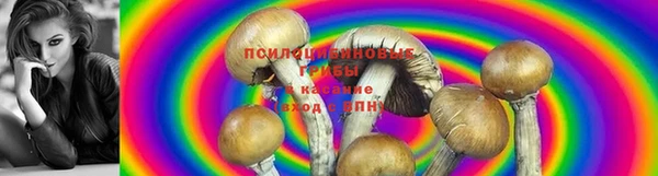 винт Тайга