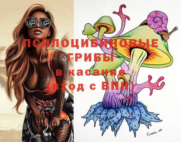 гашик Белоозёрский