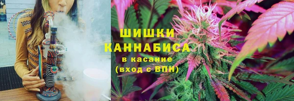 гашик Белоозёрский