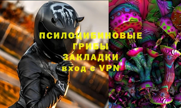 гашик Белоозёрский