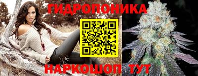 2c-b Вышний Волочёк