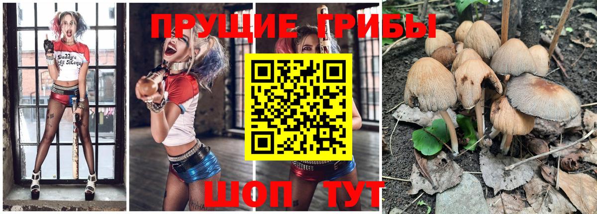 купить  сайты  Галлюциногенные грибы мицелий  Вход с VPN  Дагестанские Огни  Галлюциногенные грибы мухоморы 
